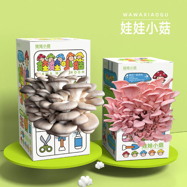 Oyster mushroom, pink mushroom bag, edible mushroom stick, simple boxed mushroom planting box, balcony gift box, mushroom planting bag