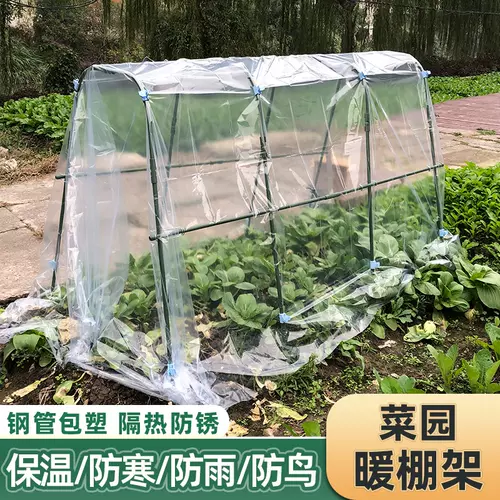 种菜棚架植物 新人首单立减十元 22年2月 淘宝海外