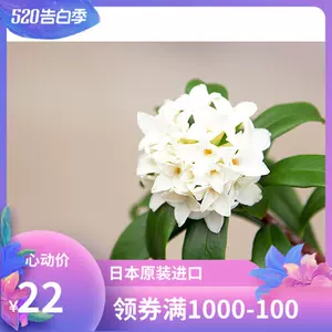 沈香水 新人首单立减十元 22年3月 淘宝海外