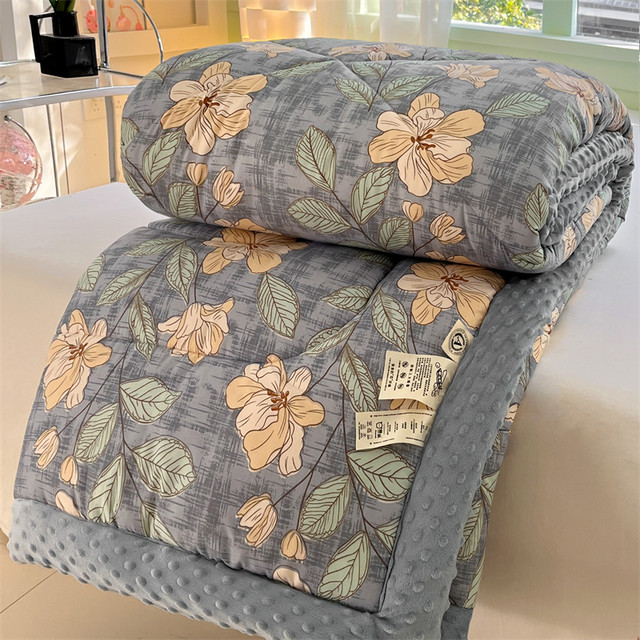 High-end adult beanie quilt 2023 new winter double quilt thickened category A maternal and infant grade children's spring and autumn quilt core