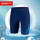 Speedo Speedo swimming trunks men's five-point pants professional quick-drying boxer anti-embarrassment adult men's swimsuit