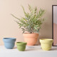 Nordic flower basin INS style new models of simple retro style colorful poly -meat potted green plant cactus abstract indoor circle
