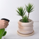 Sub -roasted hand -painted coarse pottery pot creative breathable pot of multi -fleshy plant orchid small flower pot simple ceramic 2022 new model
