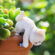 Cute cat garden garden bonsai monitor ornaments decoration creative cartoon small animal fish tank landscaping hanging basin