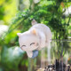 Cute cat garden garden bonsai monitor ornaments decoration creative cartoon small animal fish tank landscaping hanging basin