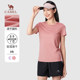 Camel women's short-sleeved T-shirt for women in summer 2025 new quick-drying sports breathable couple solid color half-sleeved T-shirt for women