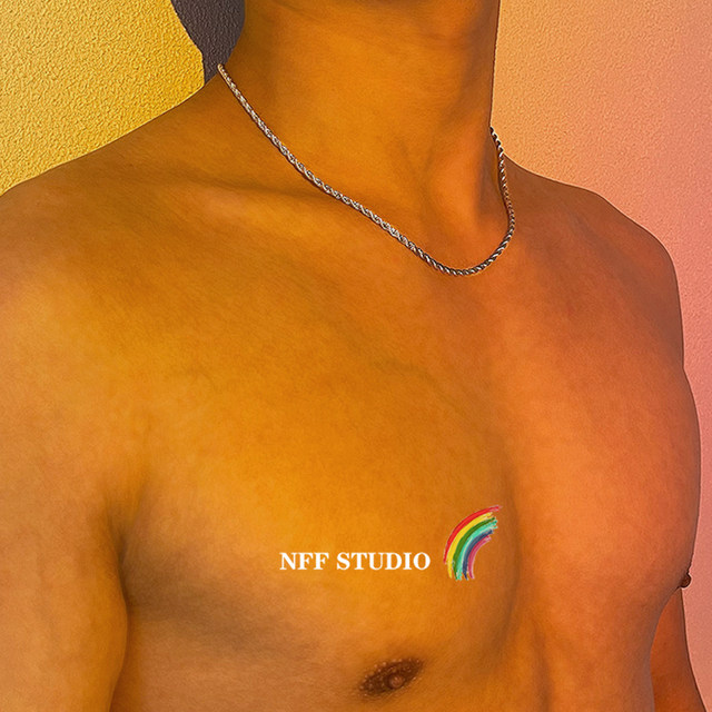 NFF hip-hop light luxury niche titanium steel necklace men ins cold style minimalist European and American street collarbone chain trendy twisted chain