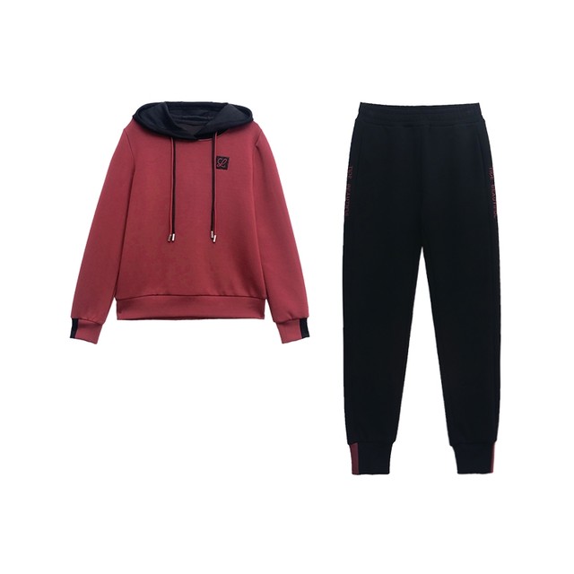 High-end women's hooded sweatshirt sports suit autumn and winter 2025 new fashion casual running two-piece set
