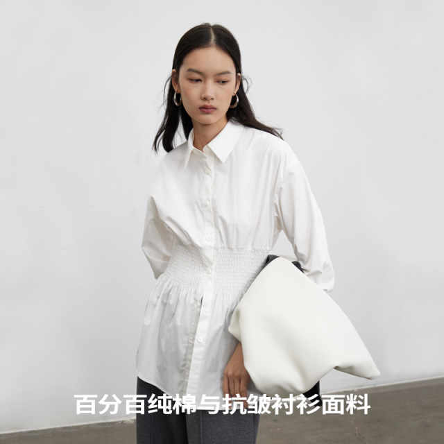 BLANK LABEL minimalist high-end pure cotton waist long sleeve white shirt women's striped shirt autumn
