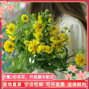 花束小菊 新人首单立减十元 22年7月 淘宝海外