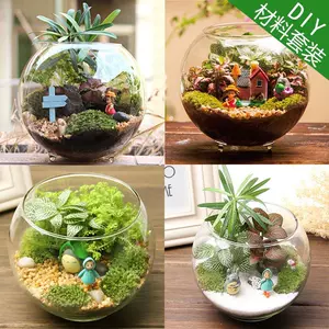 水草造景diy 新人首单立减十元 22年7月 淘宝海外 水草造景diy 新人首单立减十元 22年7月 淘宝海外