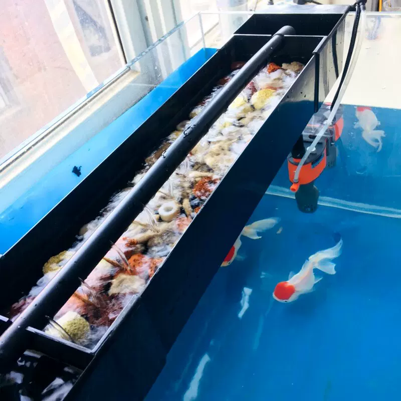 水槽滤材 新人首单立减十元 22年1月 淘宝海外