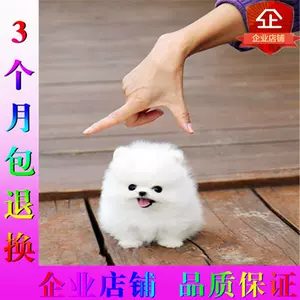 博美犬杯子 Top 49件博美犬杯子 22年11月更新 Taobao