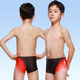 Li Ning Children's Swimming Boys and Teenagers Middle and Big Children Quick Dry Professional Training Triangle Five-point Swimming Bottoms Equipment
