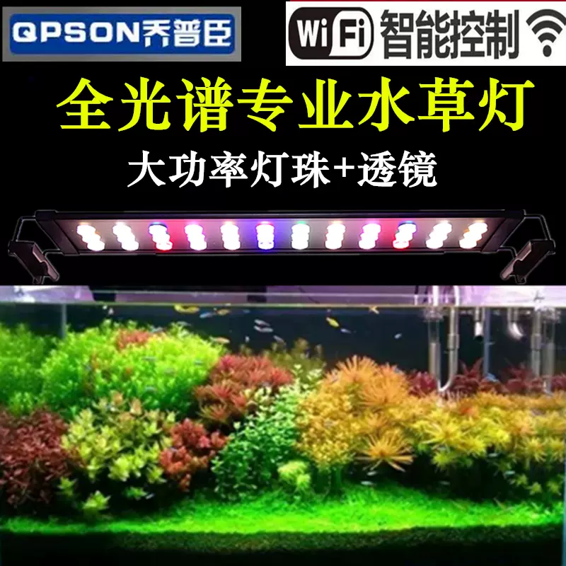 水草灯app 新人首单立减十元 21年10月 淘宝海外