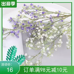 仿真花紫色配花 新人首單立減十元 22年11月 淘寶海外
