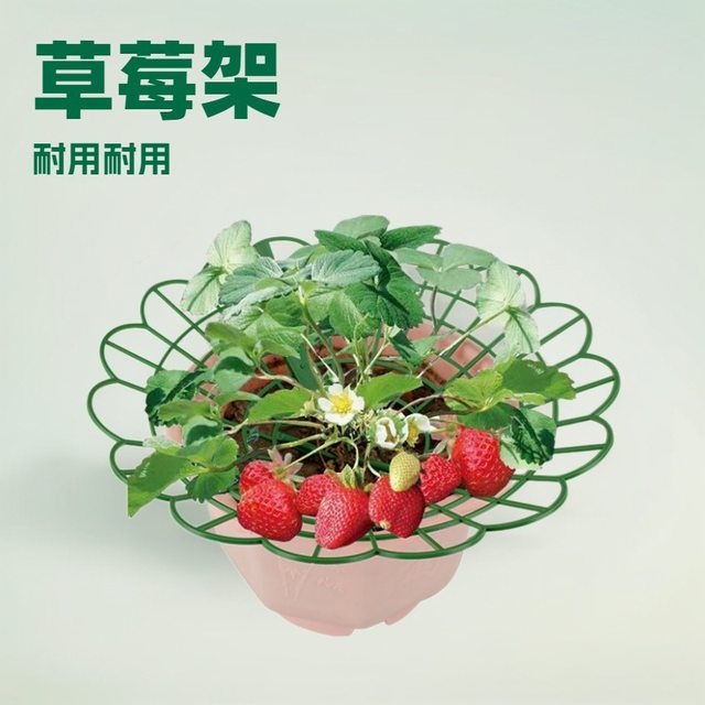 Home planting strawberry bracket ground insert bracket planting strawberry support frame gardening strawberry propagation cup