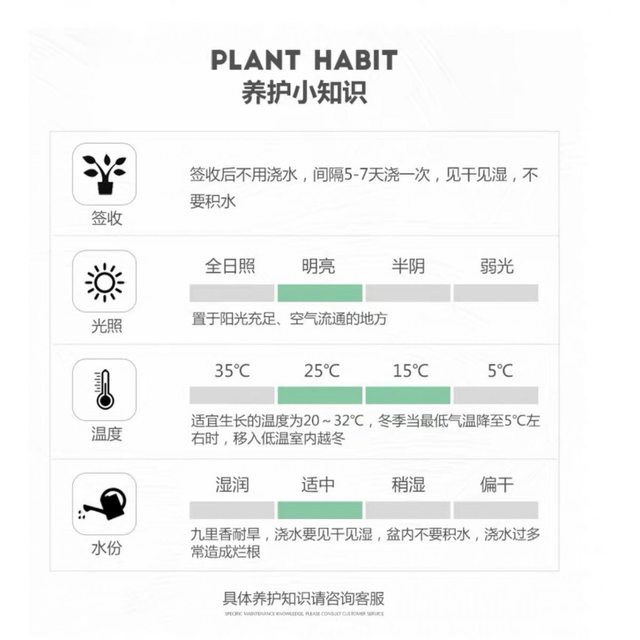 
Single pole wealth tree potted plant living room desk desktop indoor drought-resistant lazy people easy to raise office balcony plants