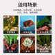 Natural volcanic stone particles red volcanic rock bottom sand succulent orchid stone fish tank special nutrient soil filter material paving stone