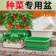 Special box for growing vegetables, flower pot, vegetable pot, plastic balcony, rectangular plastic household vegetable planting pot, vegetable planting tool