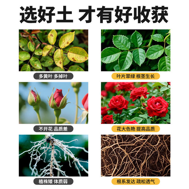 Nutritional soil, flower cultivation, general purpose flower cultivation, general purpose flower cultivation, household potted flower plant plant cultivation soil