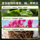 Nutritional soil, flower cultivation, general purpose flower cultivation, general purpose flower cultivation, household potted flower plant plant cultivation soil