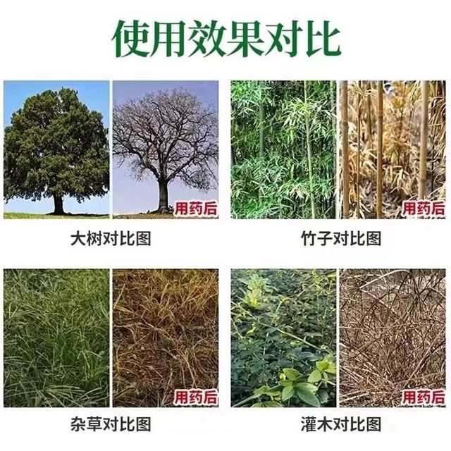 
Big tree rotten roots powerful dead tree king rotten eradication medicine rotten tree roots one drop of tree dead bamboo dead roots S