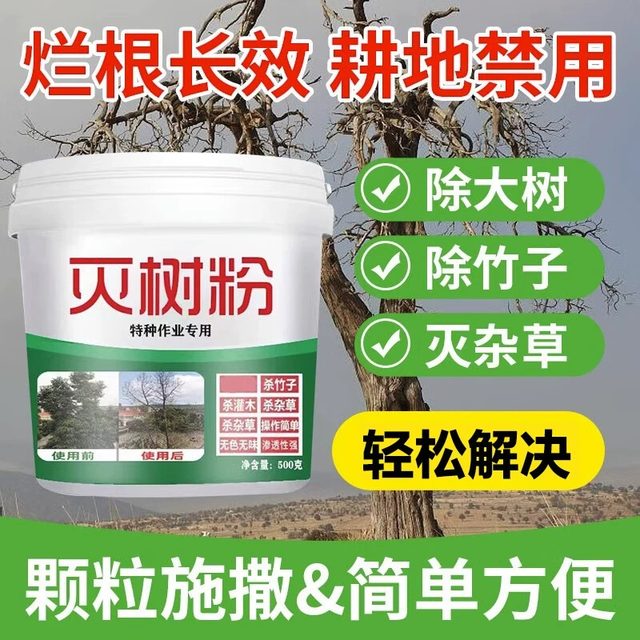 
Big tree rotten roots powerful dead tree king rotten eradication medicine rotten tree roots one drop of tree dead bamboo dead roots S