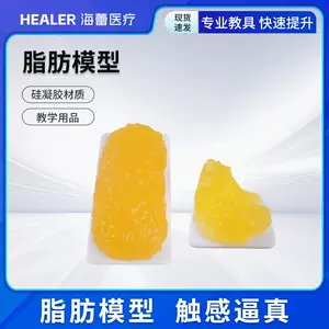 脂肪模型- Top 100件脂肪模型- 2023年11月更新- Taobao