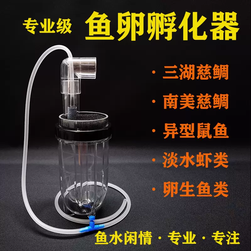 三湖慈鲷鱼卵孵化器南美异型底栖鼠鱼观赏鱼虾亚克力