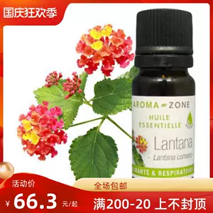 马樱丹 新人首单立减十元 22年9月 淘宝海外