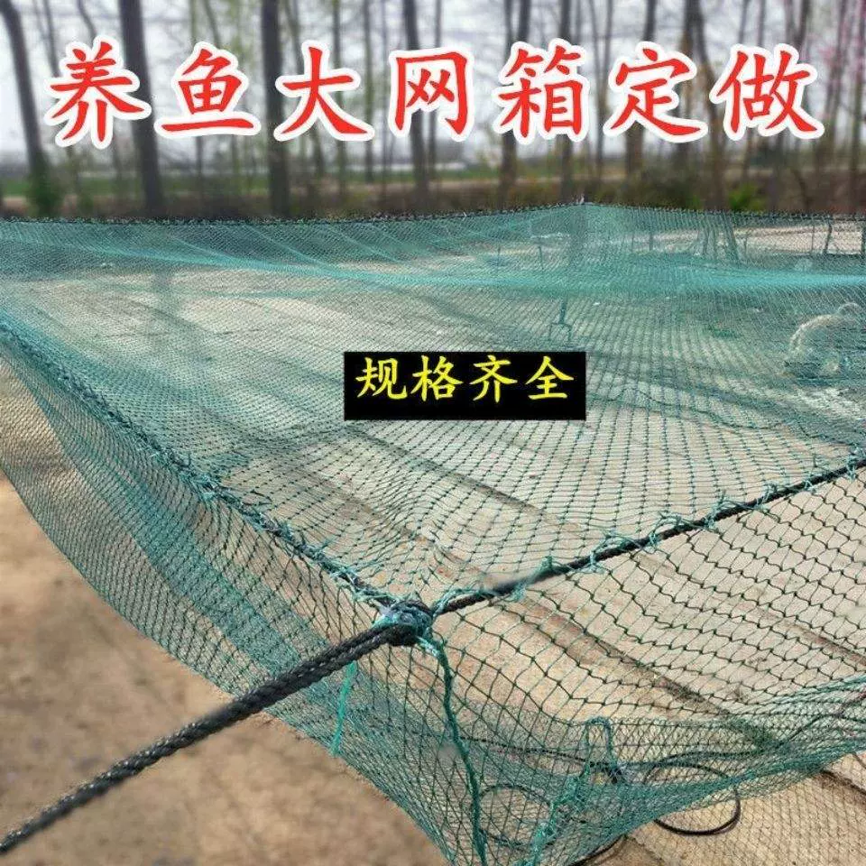 大头花莲 新人首单立减十元 21年11月 淘宝海外