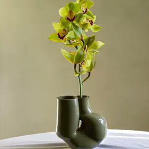花瓶vase-新人首单立减十元-2022年10月|淘宝海外