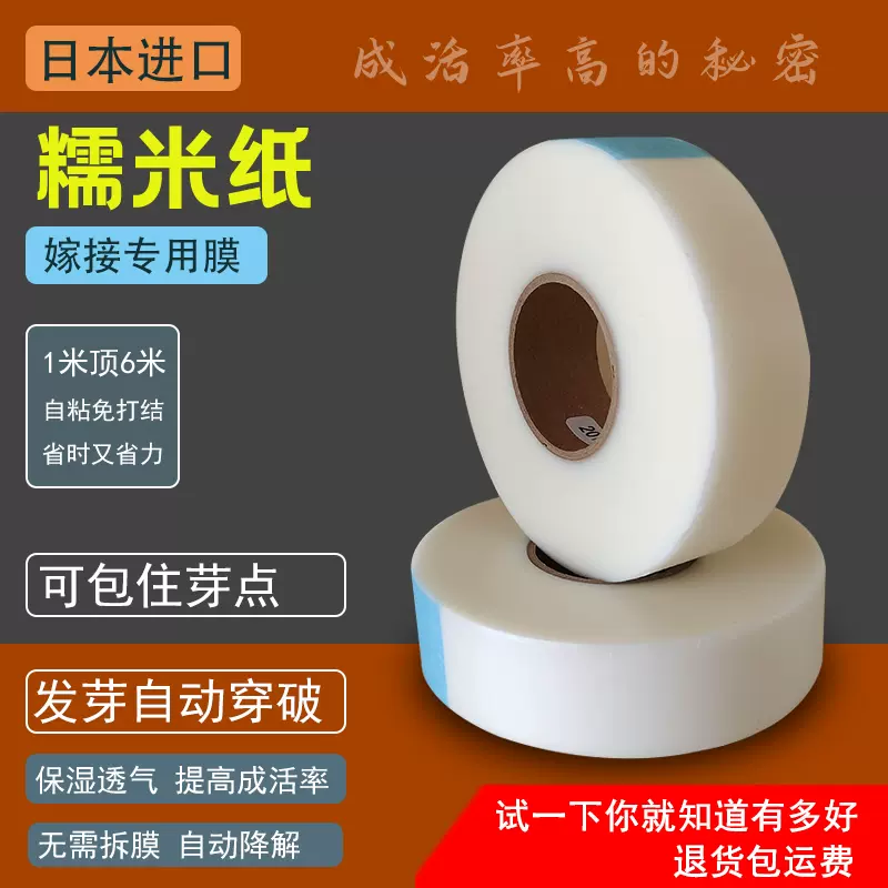 糯米胶带 新人首单立减十元 2021年12月 淘宝海外