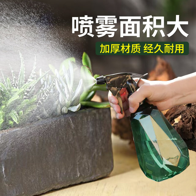 Watering kettle for watering flowers. Watering kettle for household small alcohol disinfection and cleaning. Special ultra-fine mist spray bottle for gardening.