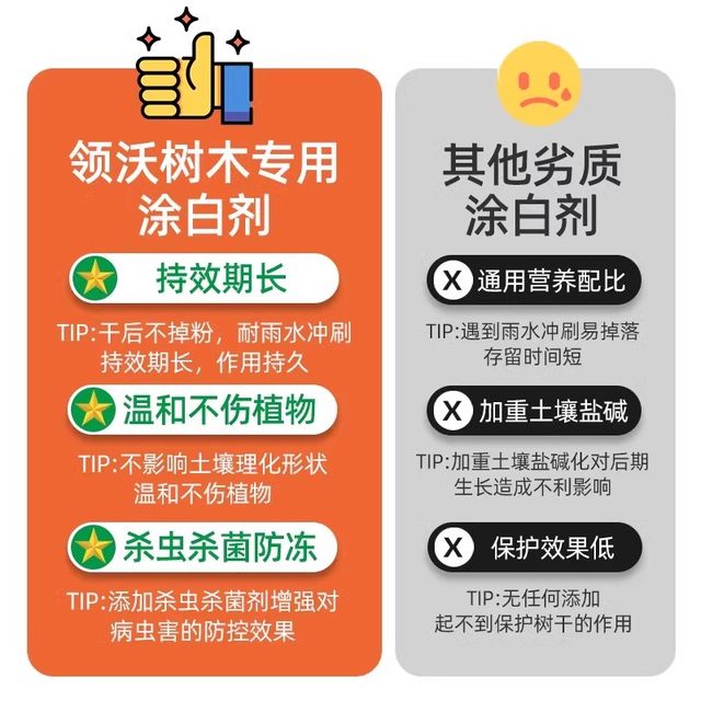 Dilution-free fruit tree whitening agent lime sulfur mixture gardening courtyard trees universal clear garden pesticide insect protection antifreeze