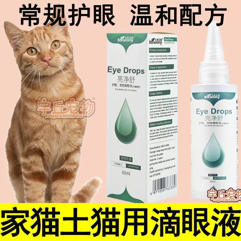 水家猫-新人首单立减十元-2021年11月淘宝海外