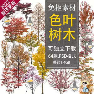 沙羅樹 Top 90件沙羅樹 22年11月更新 Taobao