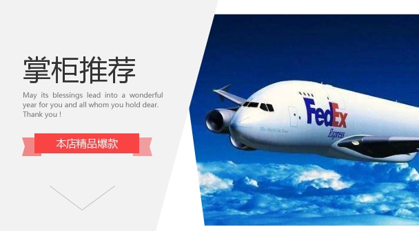 美 英 法 德国fedex 快递单ebay Amozan 亚马逊退货标签