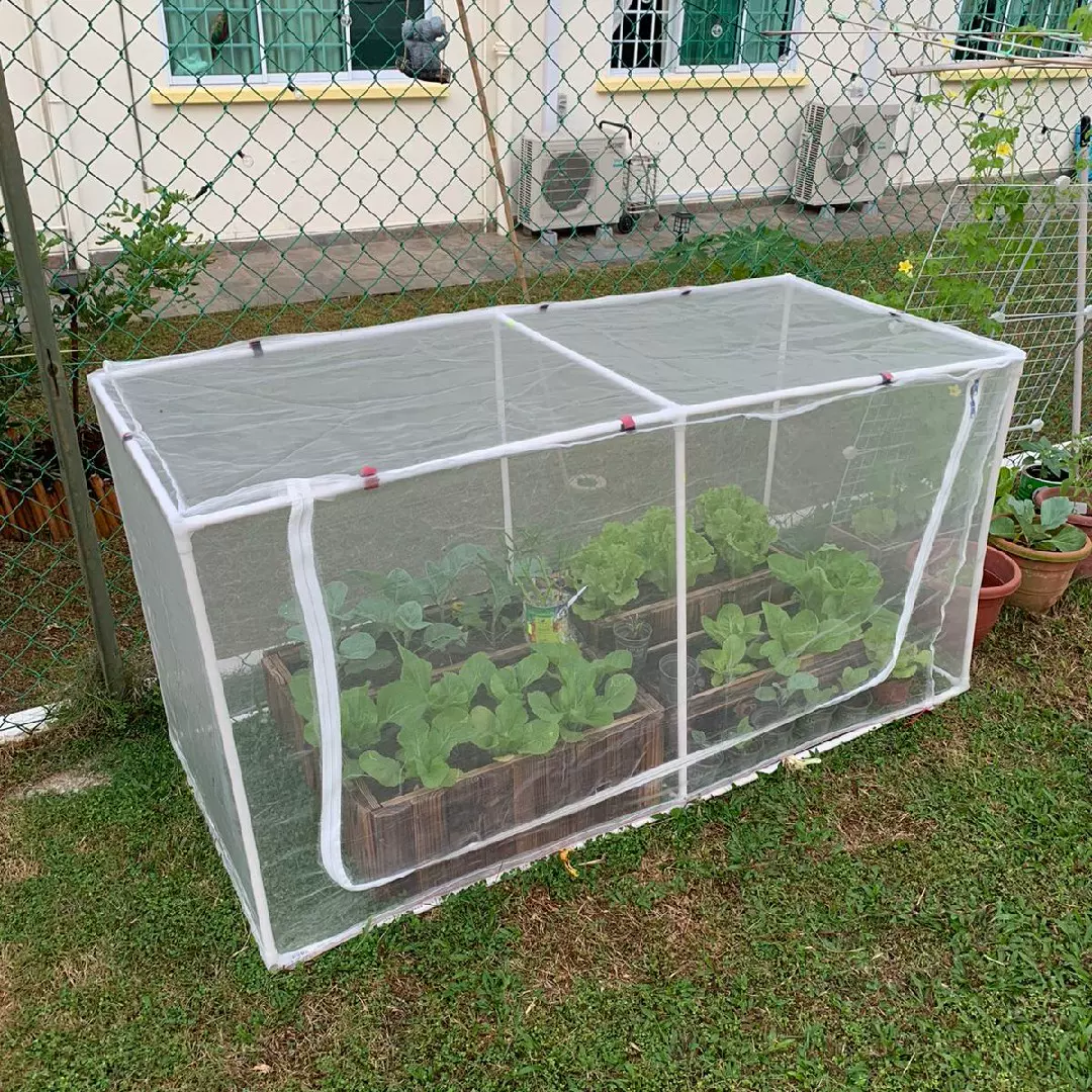 阳台菜园防鸟网防虫网有机种菜家庭菜园蔬菜多种尺寸