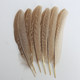 Small Feather Kindergarten Handmade Jewelry Accessories Pheasant Feather Diy Material Bird Feather Decorative Specimen Production
