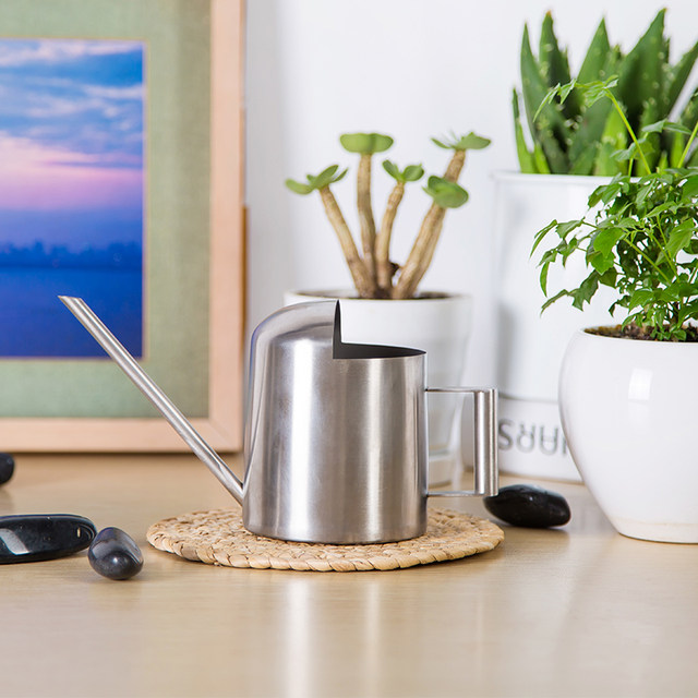 Mini small flower watering pot stainless steel succulent sprinkler kettle gardening water spray children's bird feeding kettle watering kettle 300ML