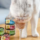 Beethoven pet Sheba PREMIO Sea Banquet Soup Boil Black Golden Cat Soup Steak Cat 24 cans 24 cans
