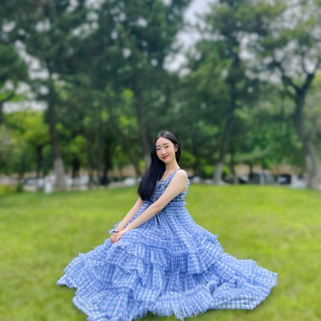 Jane Ai Garden plaid mesh stitching asymmetric half -bodies skirt niche design sense puff JA83
