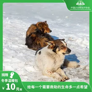 中国救助 新人首单立减十元 22年8月 淘宝海外