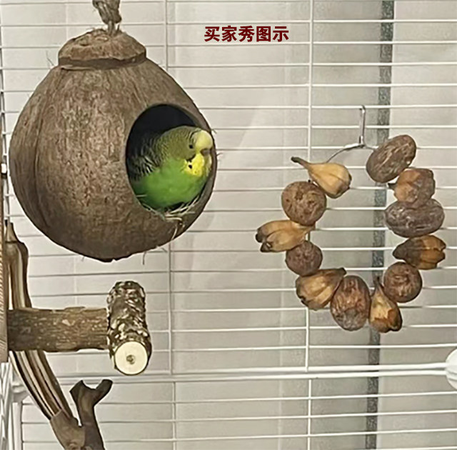 Parrot coconut shell bird's nest peony munia tiger skin bird's nest ...