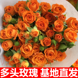 Multihead Little Rose Bubble Yunnan Straight Flower Bouquet Delivery City Orange Barbie520 Valentine's Day Gift