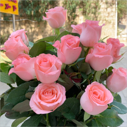 Rose flower bouquet of Yunnan Kunming base direct delivery of the same city Diana Aisha520 Valentine's Day gift