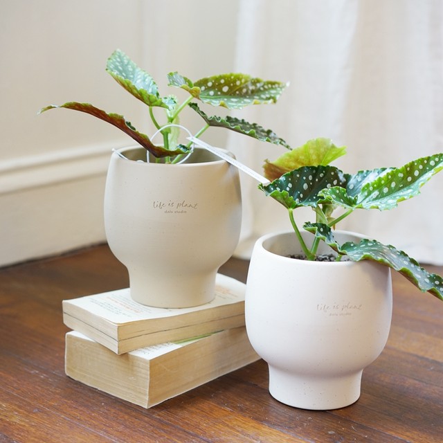 DOLV bean green Brand classical art flower pot classic gravel color home gardening clay flower pot flower pot