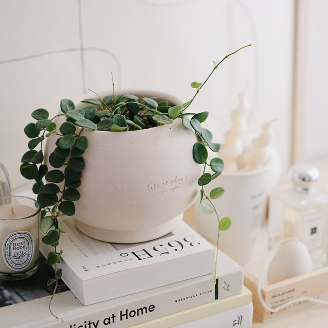 DOLV Bean Green Model Classic Flower Pot Nordic Style Parisian Painting School Home Gardening Clay Flower Pot Flower Set